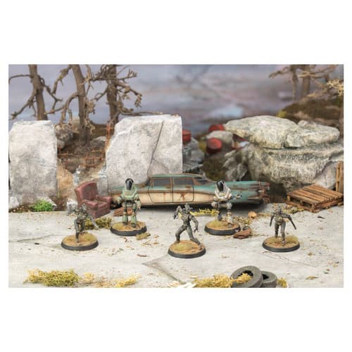 Assaultrons & Protectrons