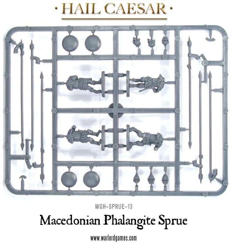 Macedonian Phalangite Sprue - Image 1