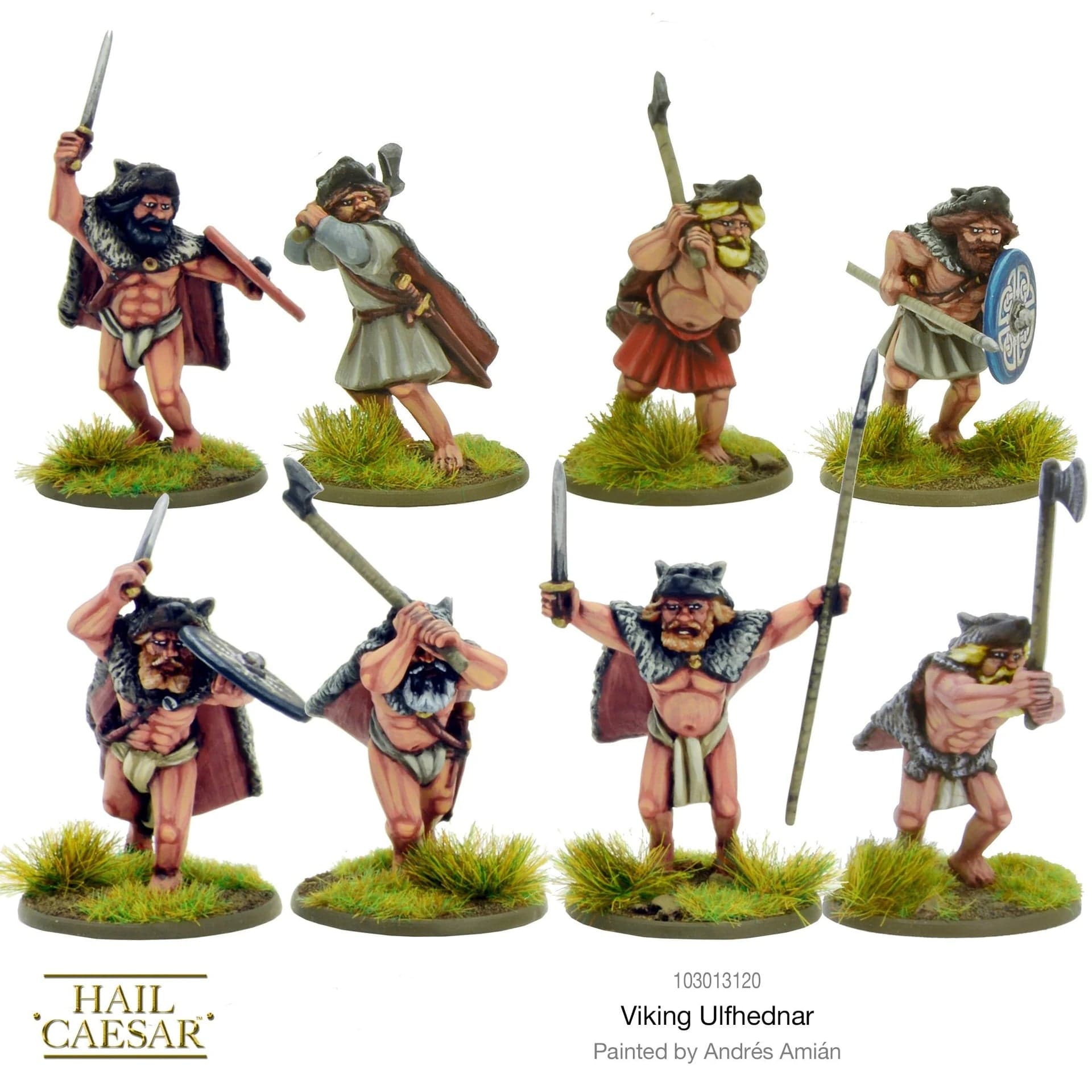 Viking Ulfhednar - Image 1