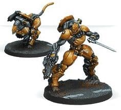 Su-Jian Immediate Action Unit - Image 1