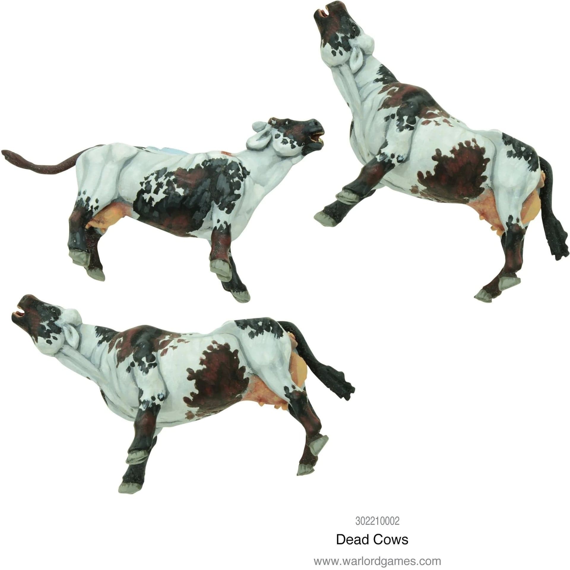Dead cows - Image 1
