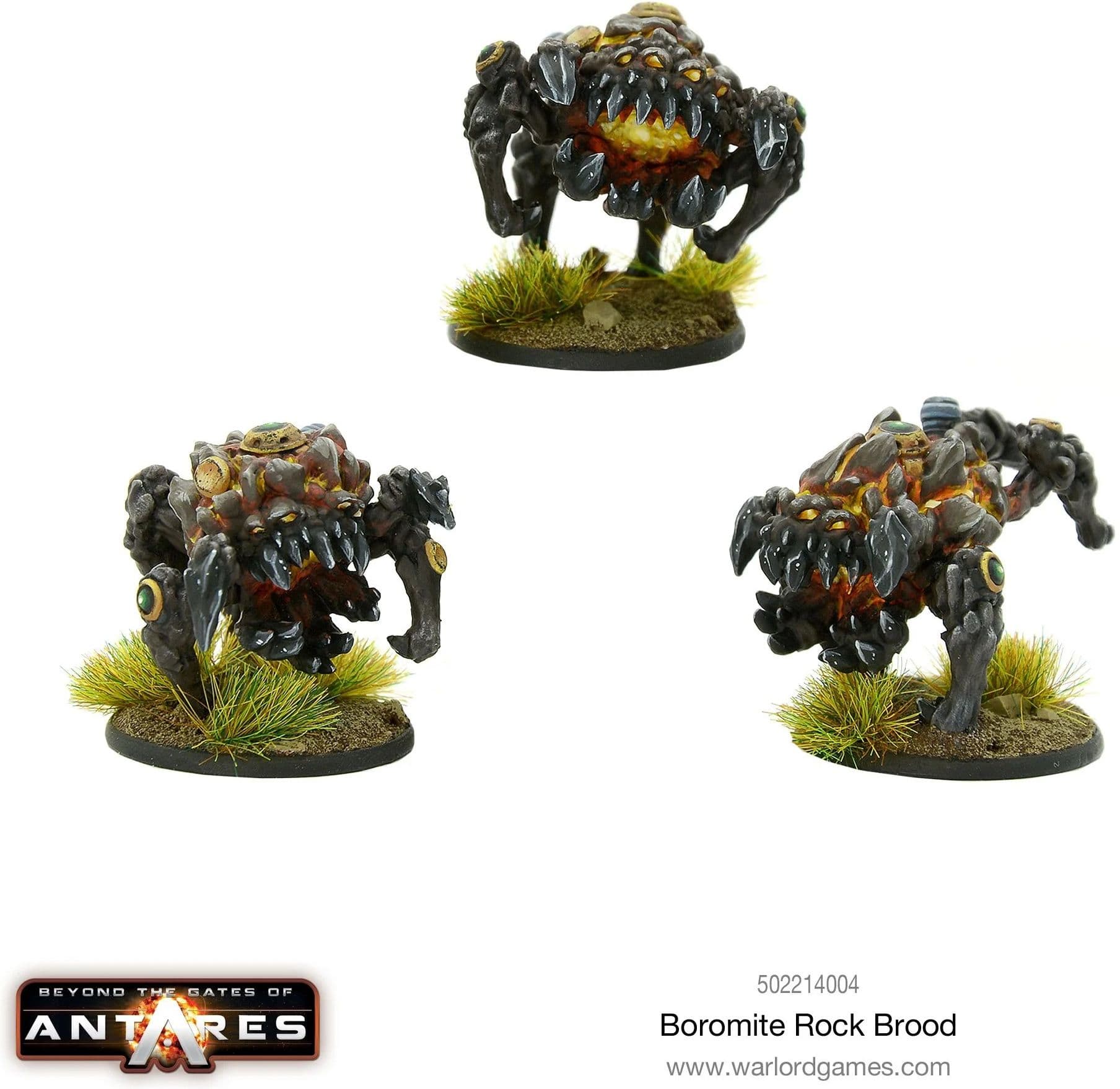 Boromite Rock Brood - Image 1