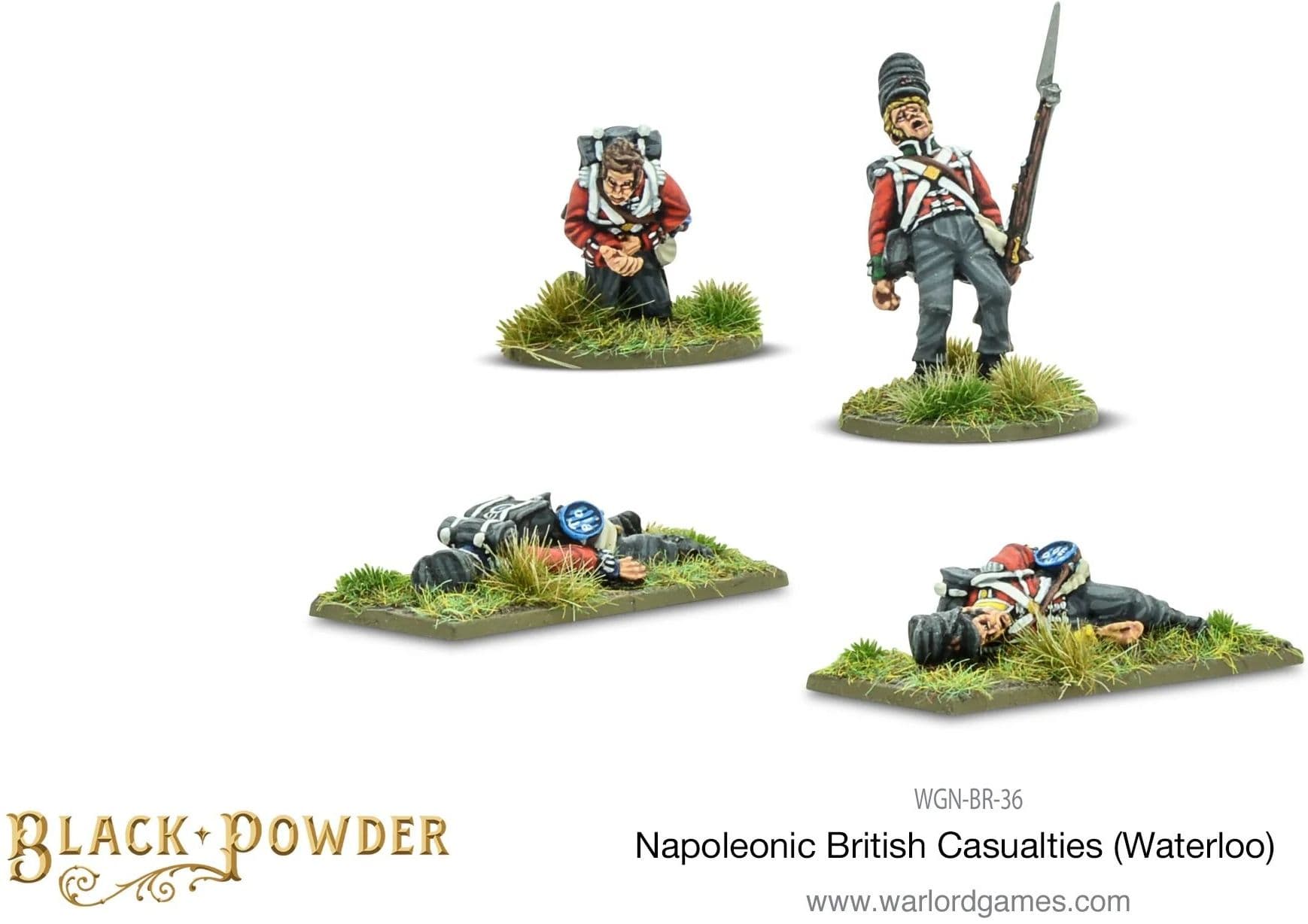 Napoleonic British Casualties (Waterloo)