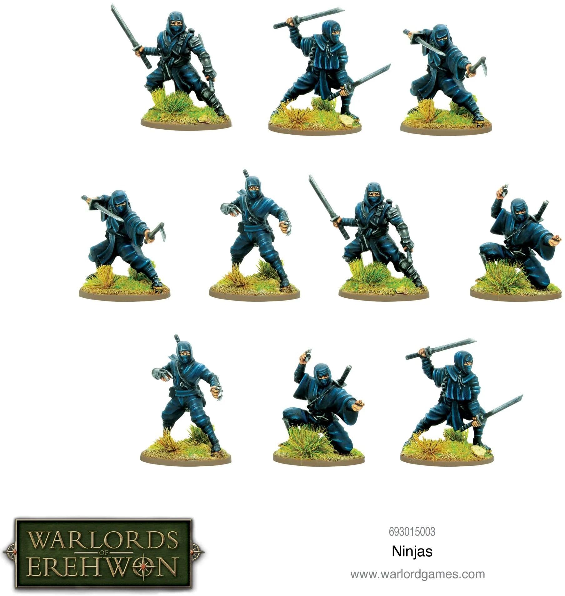 Warlords of Erehwon: Ninja - Image 1