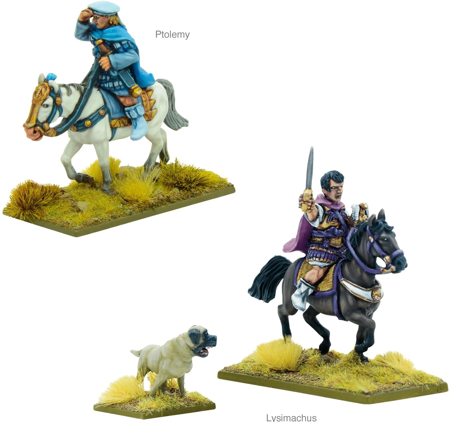 The Diadochi - Image 1