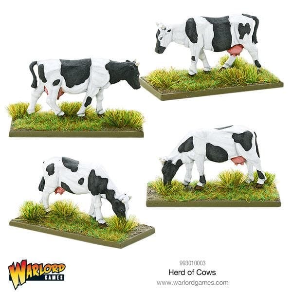 Herd of Cows - Image 1