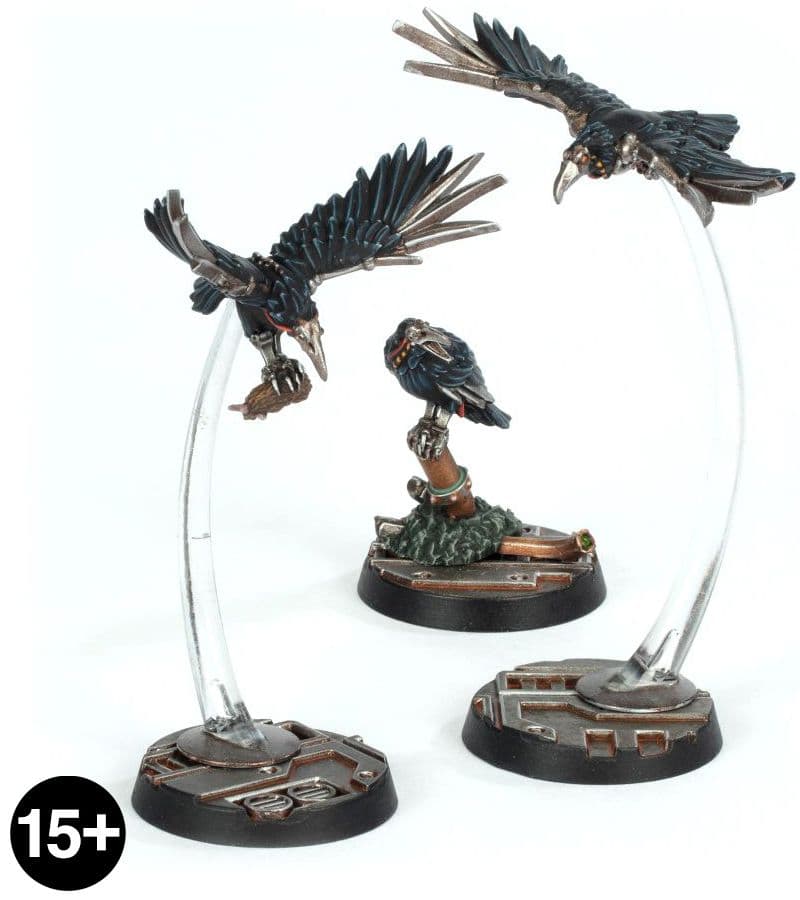 Cawdor Sheen Birds - Image 1