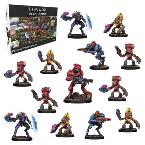 HALO: Flashpoint: Banished Reinforcements
