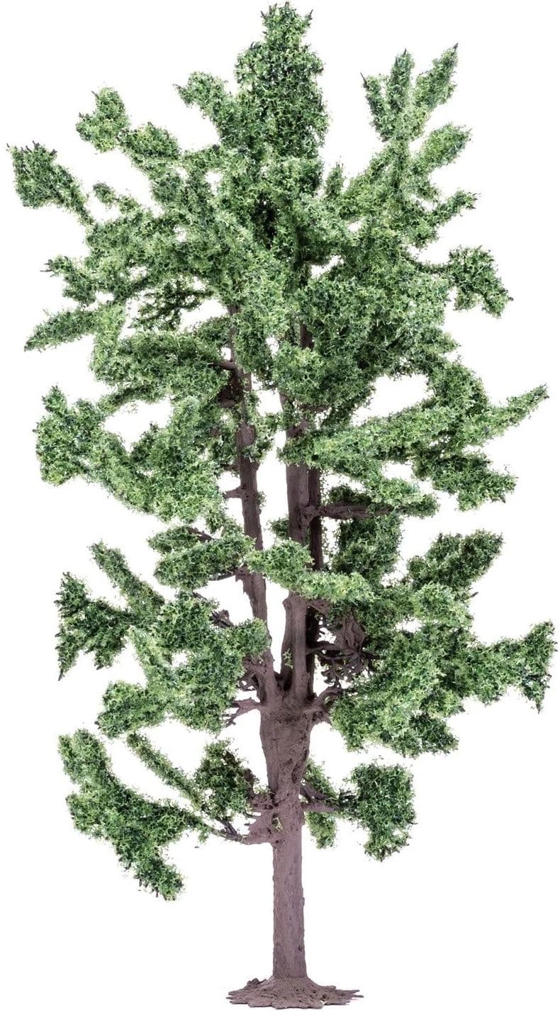 Lime Tree - 18cm - Image 1