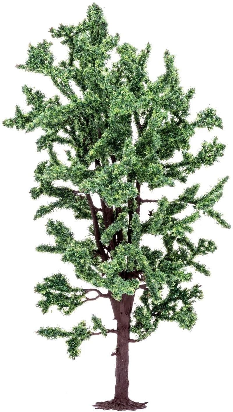 Horse Chestnut Tree - 8.5cm - Image 1
