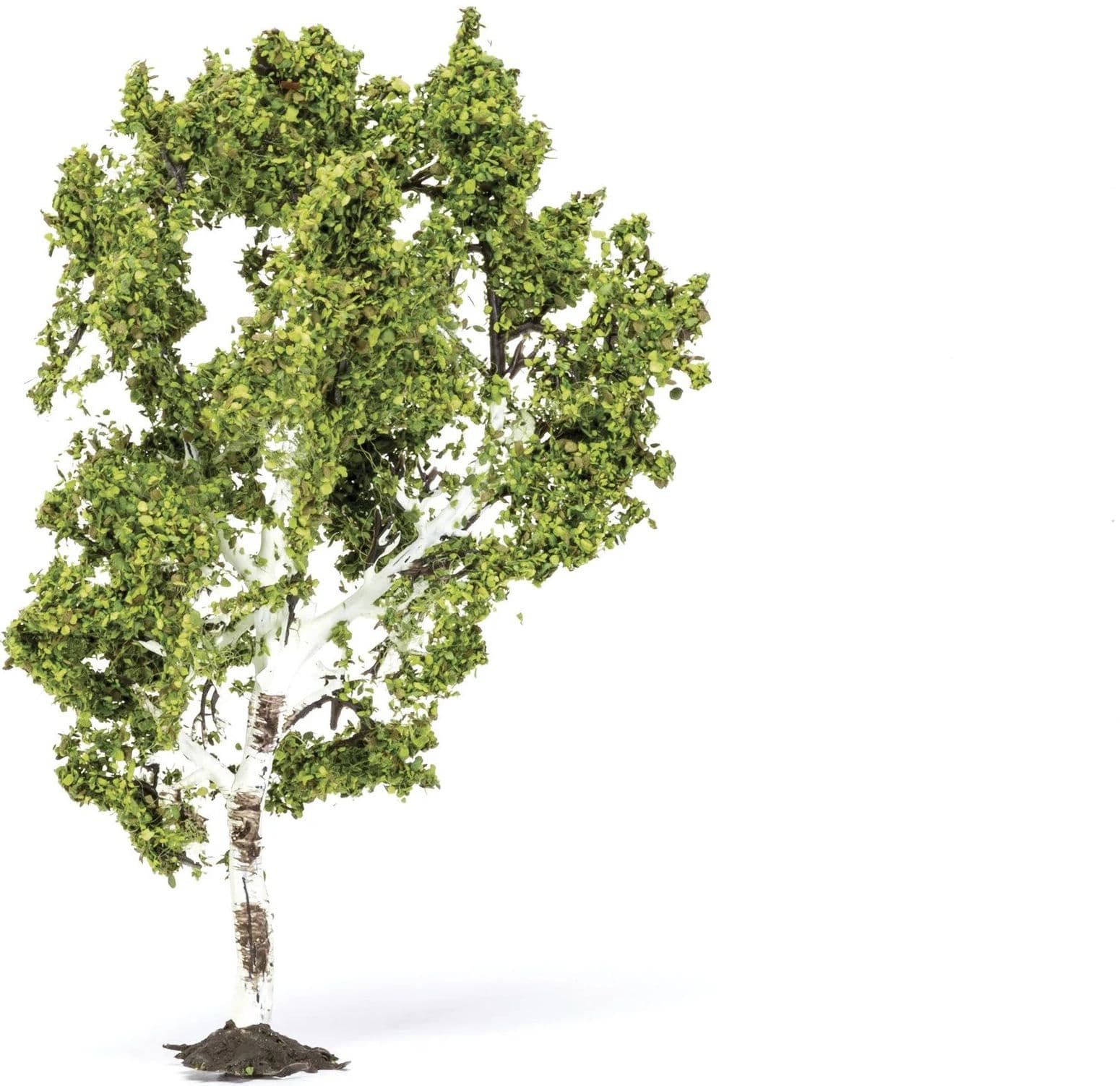 Birch Tree - 11.5cm - Image 1