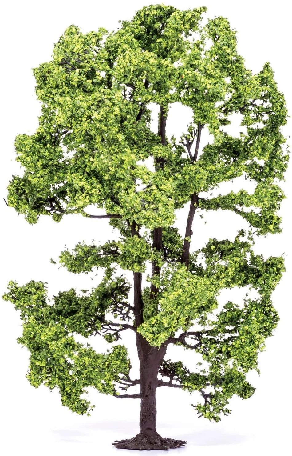 Acacia Tree - 15cm - Image 1