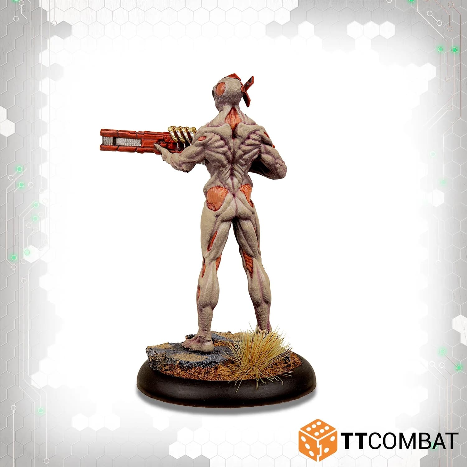 Kit image 1