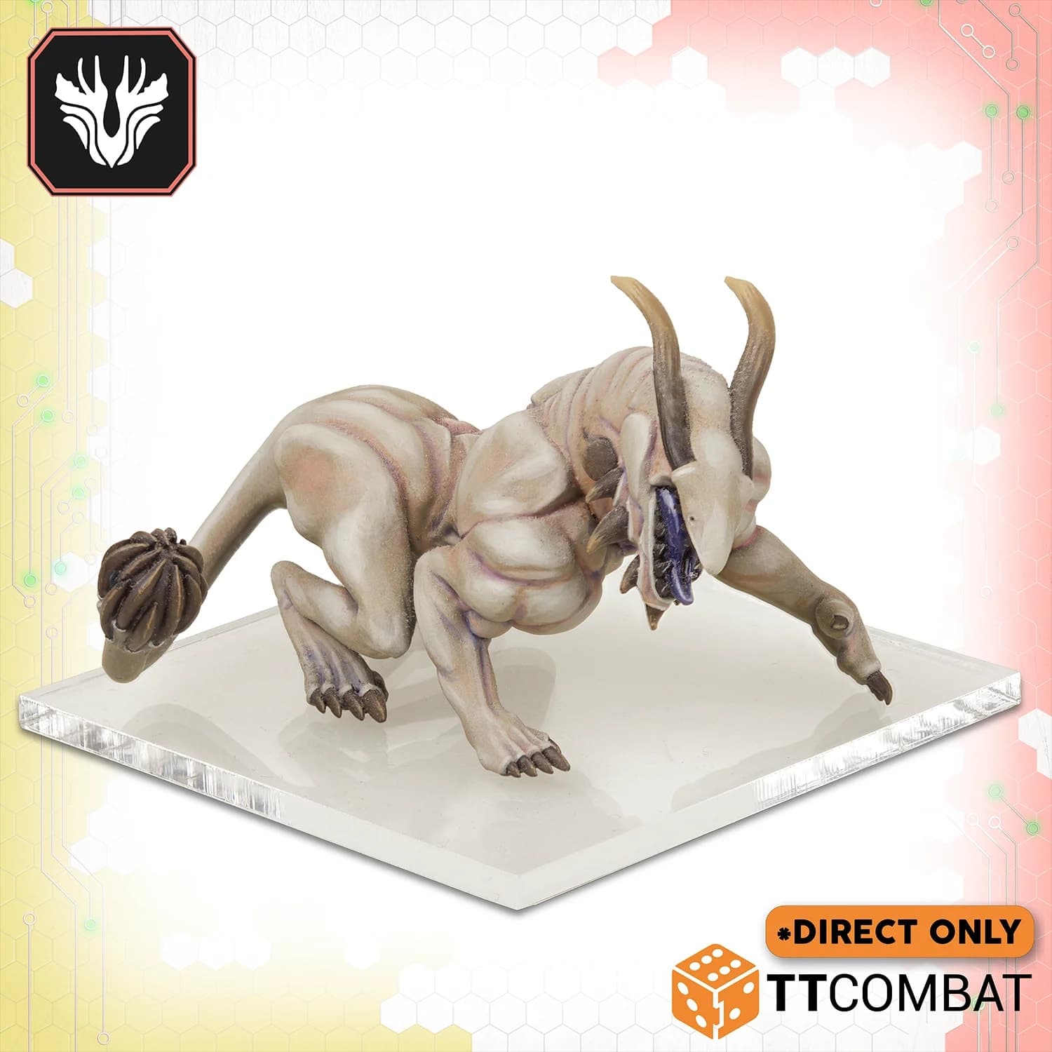 Apex  **EVENT EXCLUSIVE** - Image 1