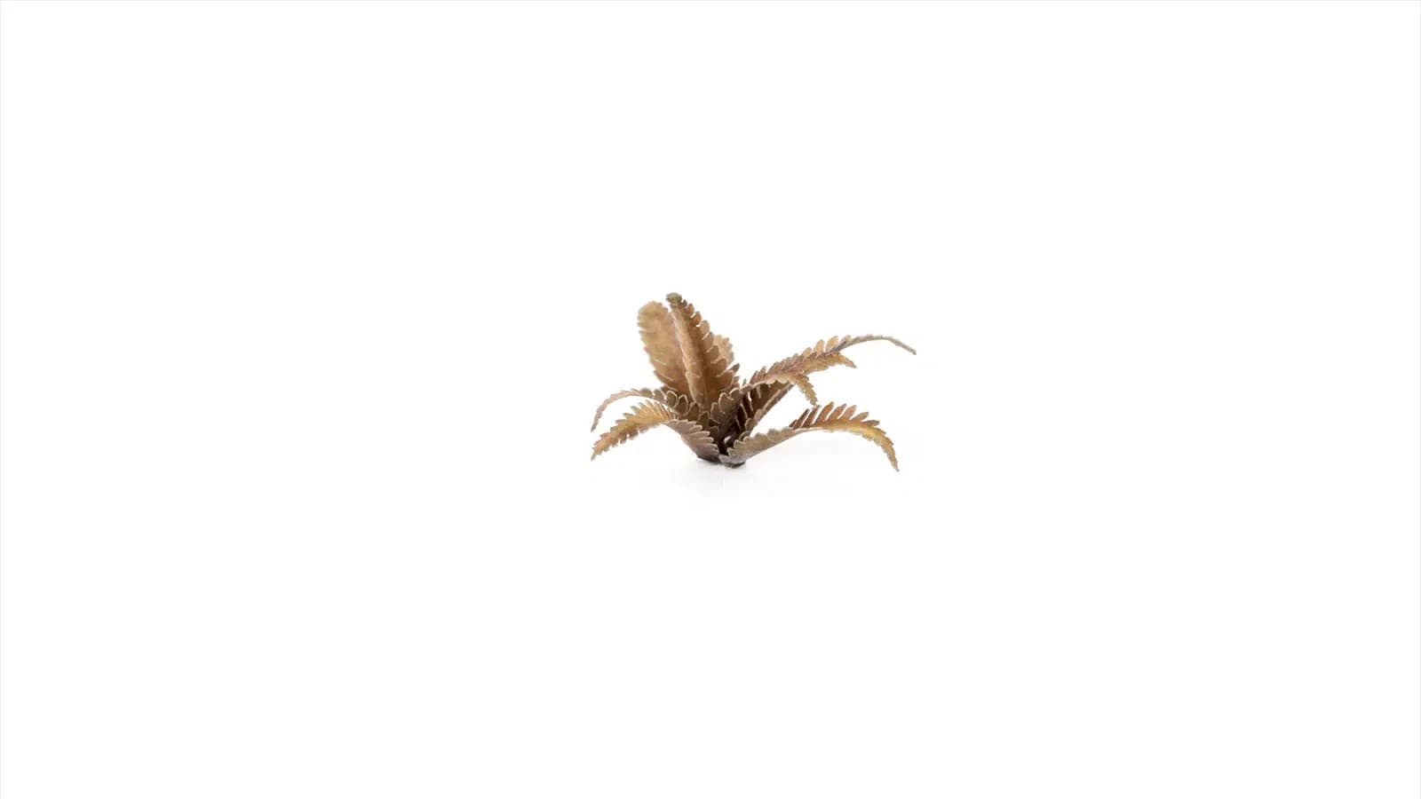 Kit image 1