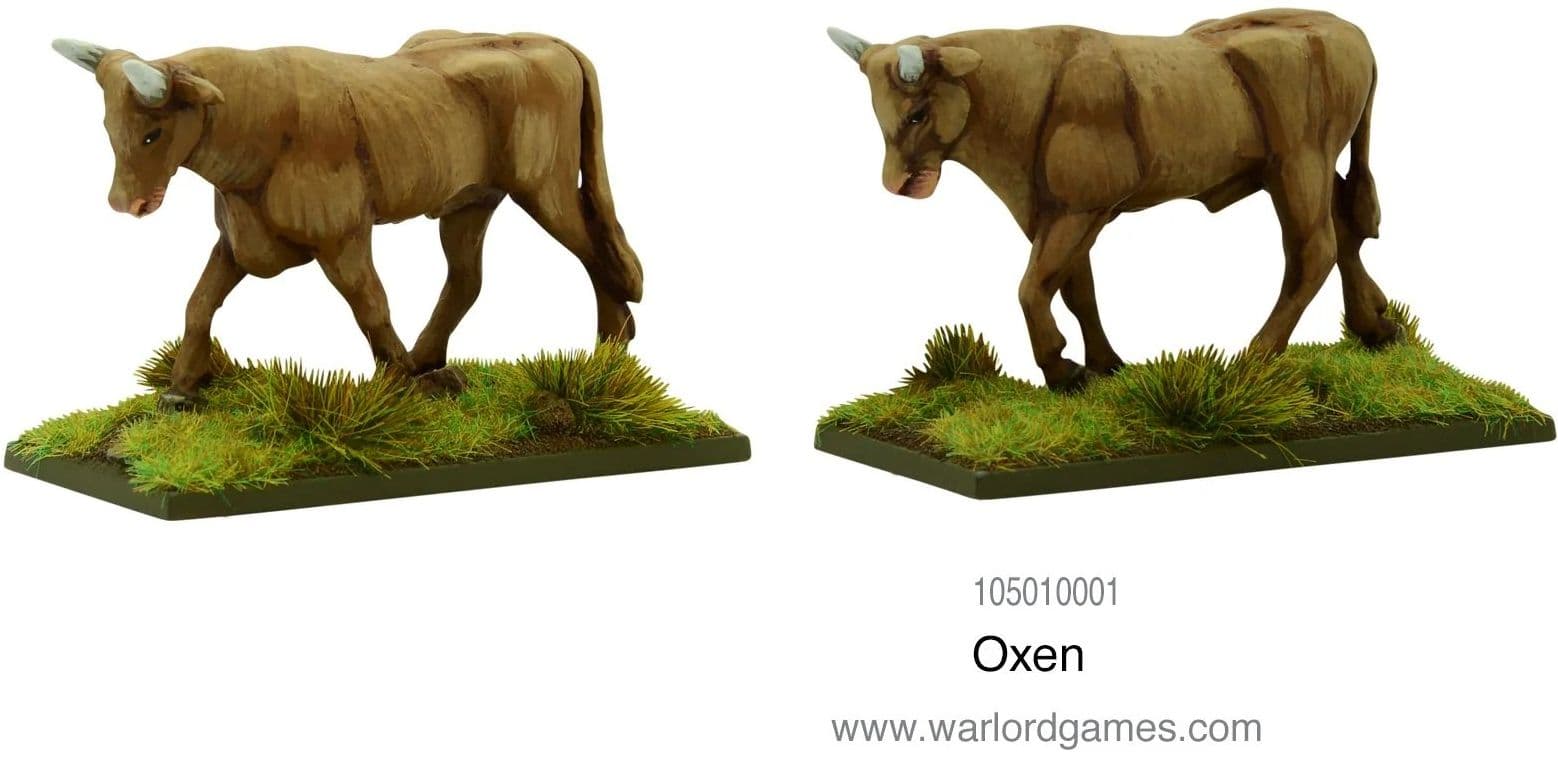 Kit image 1