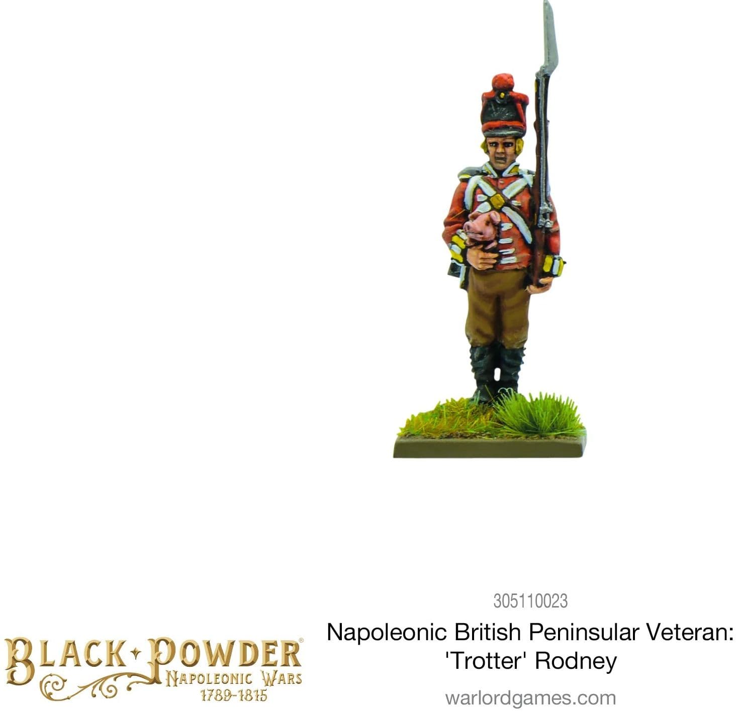 Napoleonic British Peninsular Veteran: 'Trotter' Rodney