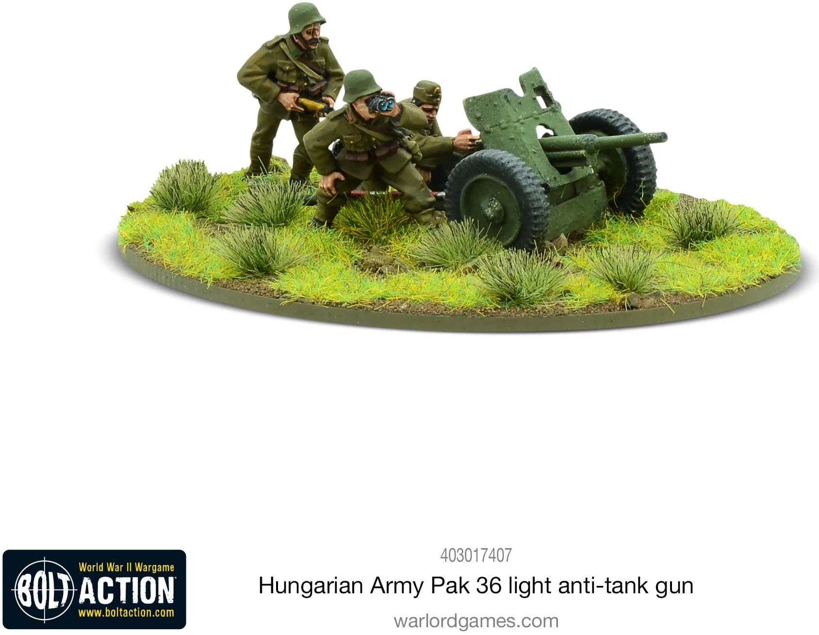 Hungarian Army Pak 36 light anti-tank gun