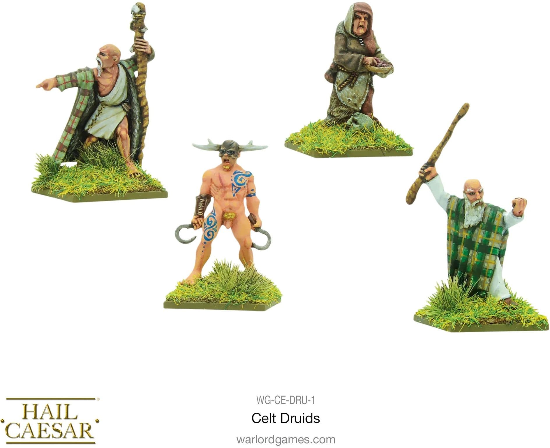 Ancient Celts: Druids