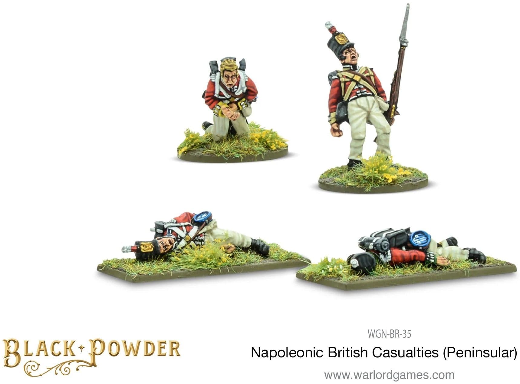 Napoleonic British Casualties (Peninsular)