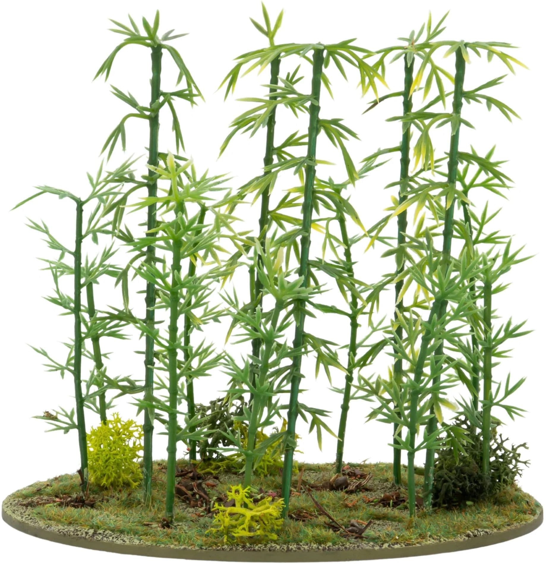 Japanese Bamboo Bushes