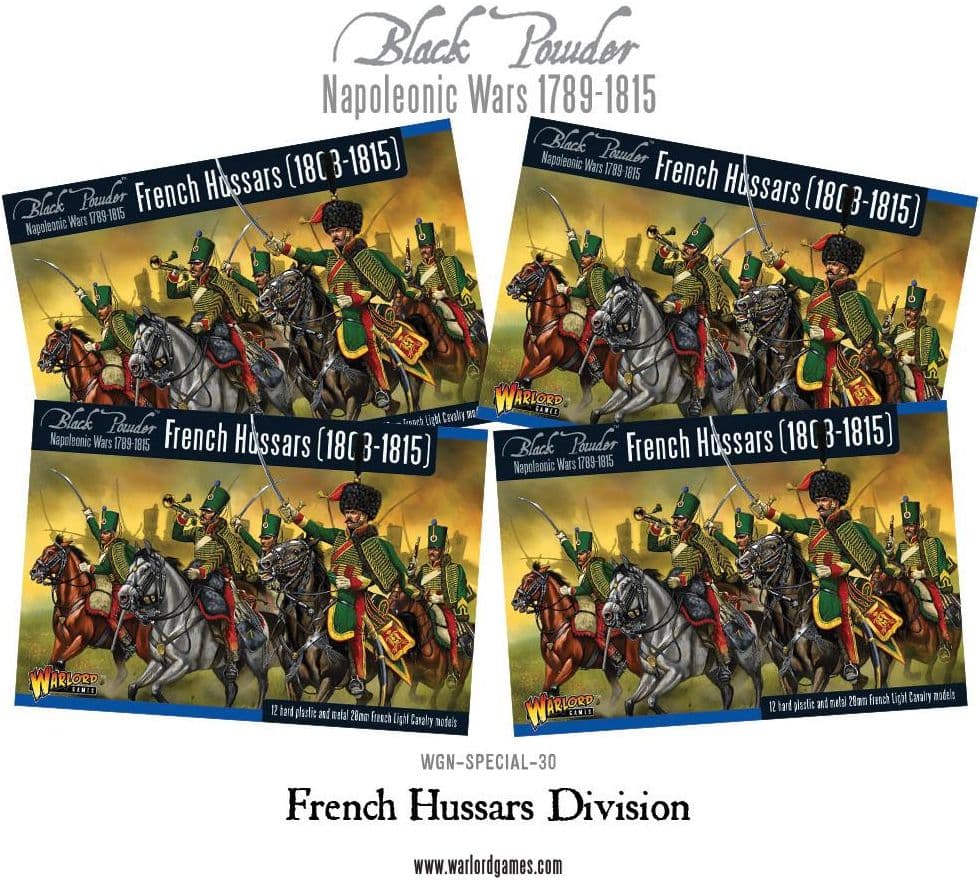 Napoleonic French Hussars Division
