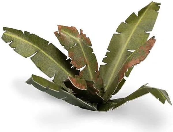 Laser Plants - Banana Tree - Image 1