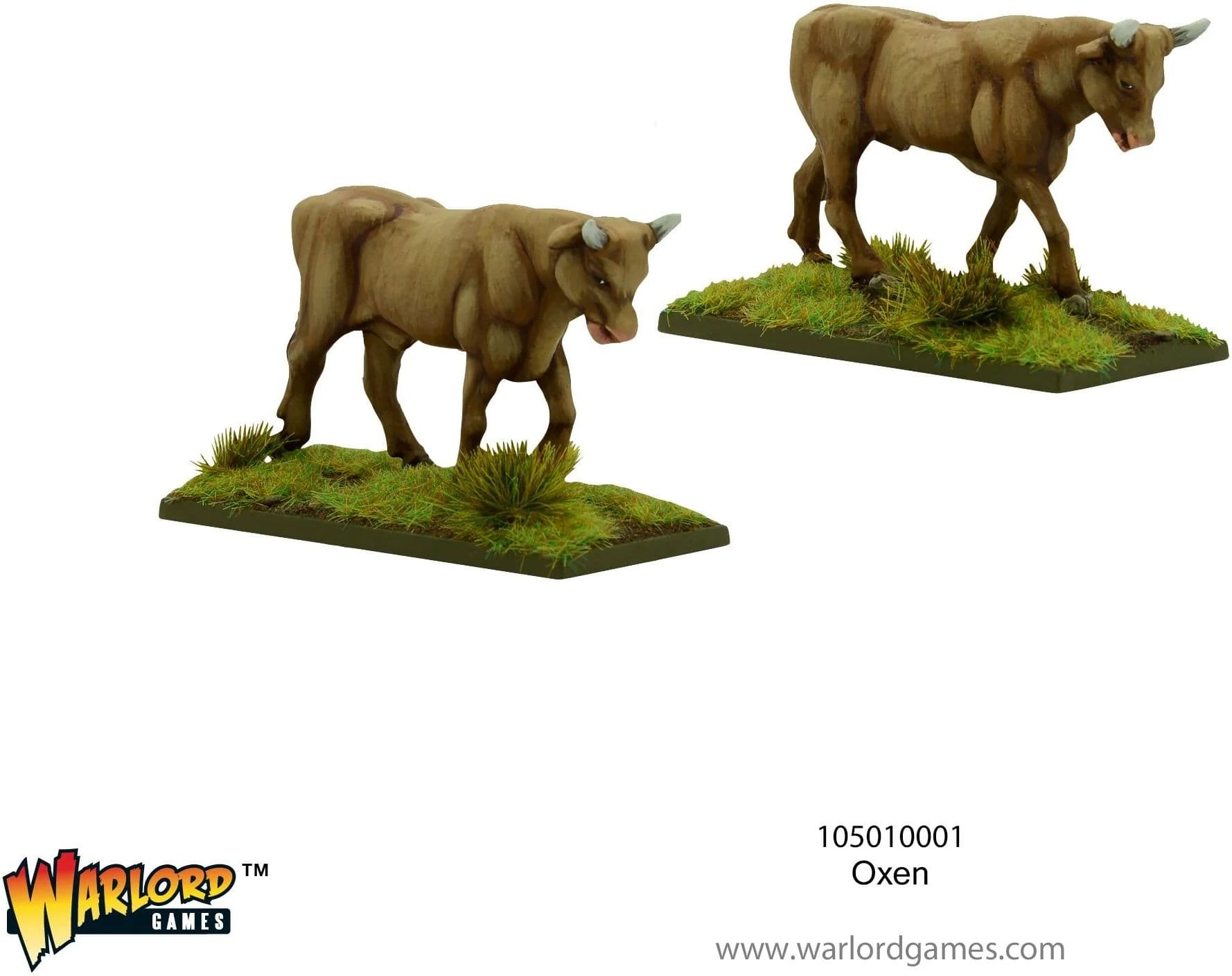 Oxen - Image 1