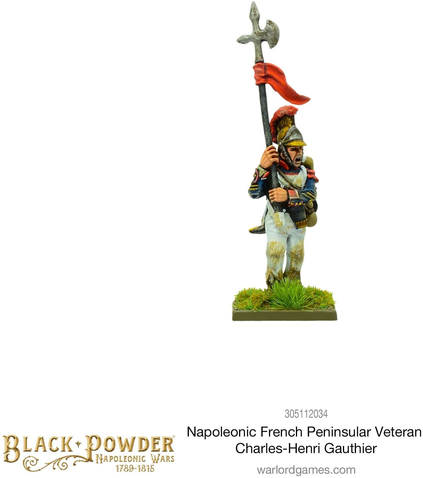 Napoleonic French Peninsular Veteran: Charles-Henri Gauthier - Image 1