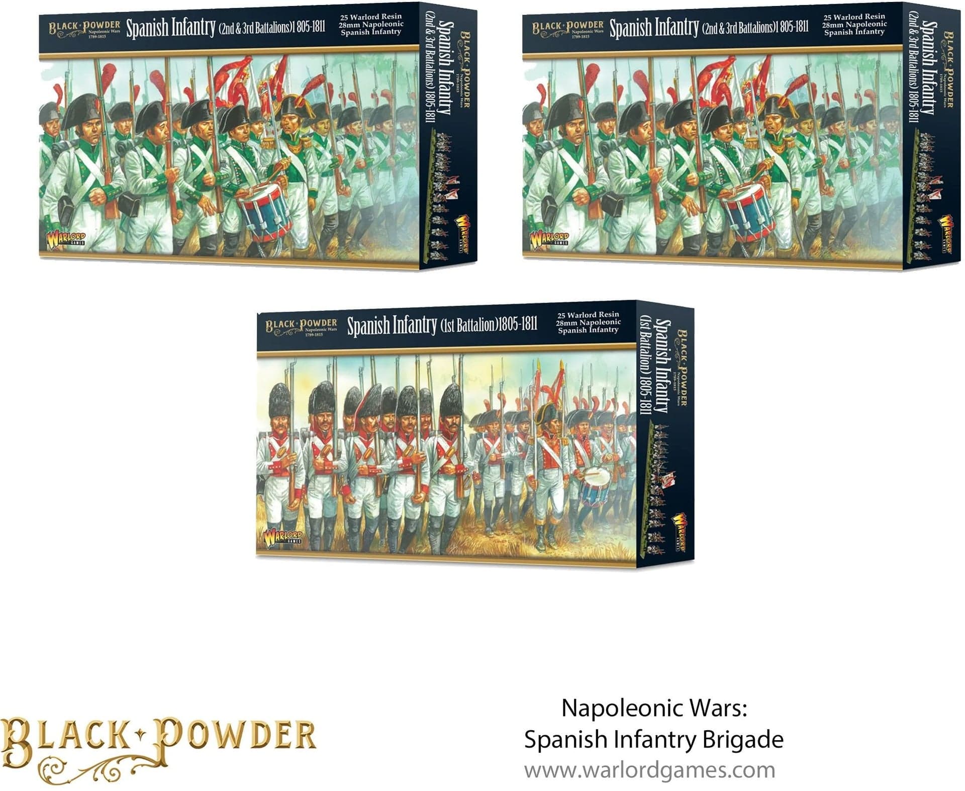 Battle of Baylen - Napoleonic Spanish Infantry Regiment