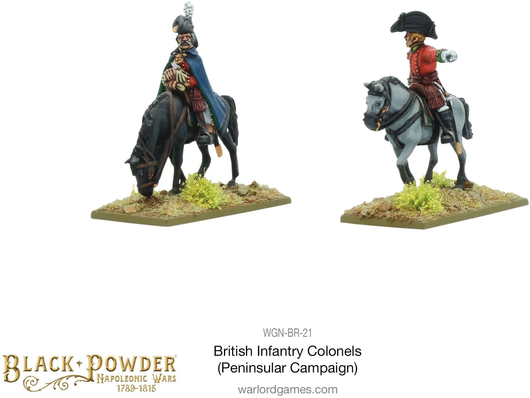 Mounted Napoleonic British Infantry Colonels (Peninsular War) - Image 1