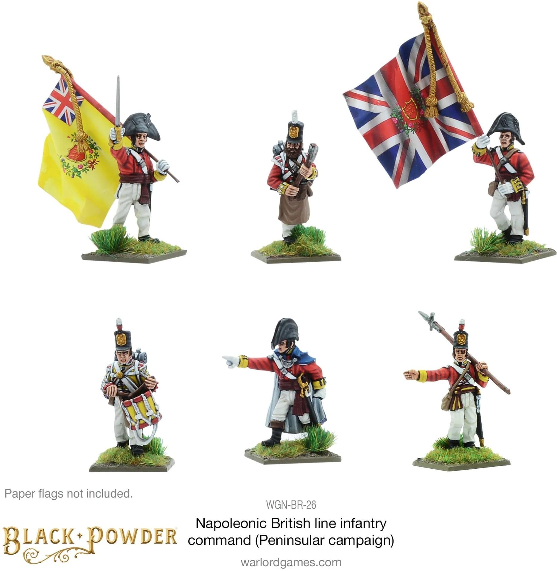 Napoleonic British Line Infantry command (Pensinsular War) - Image 1