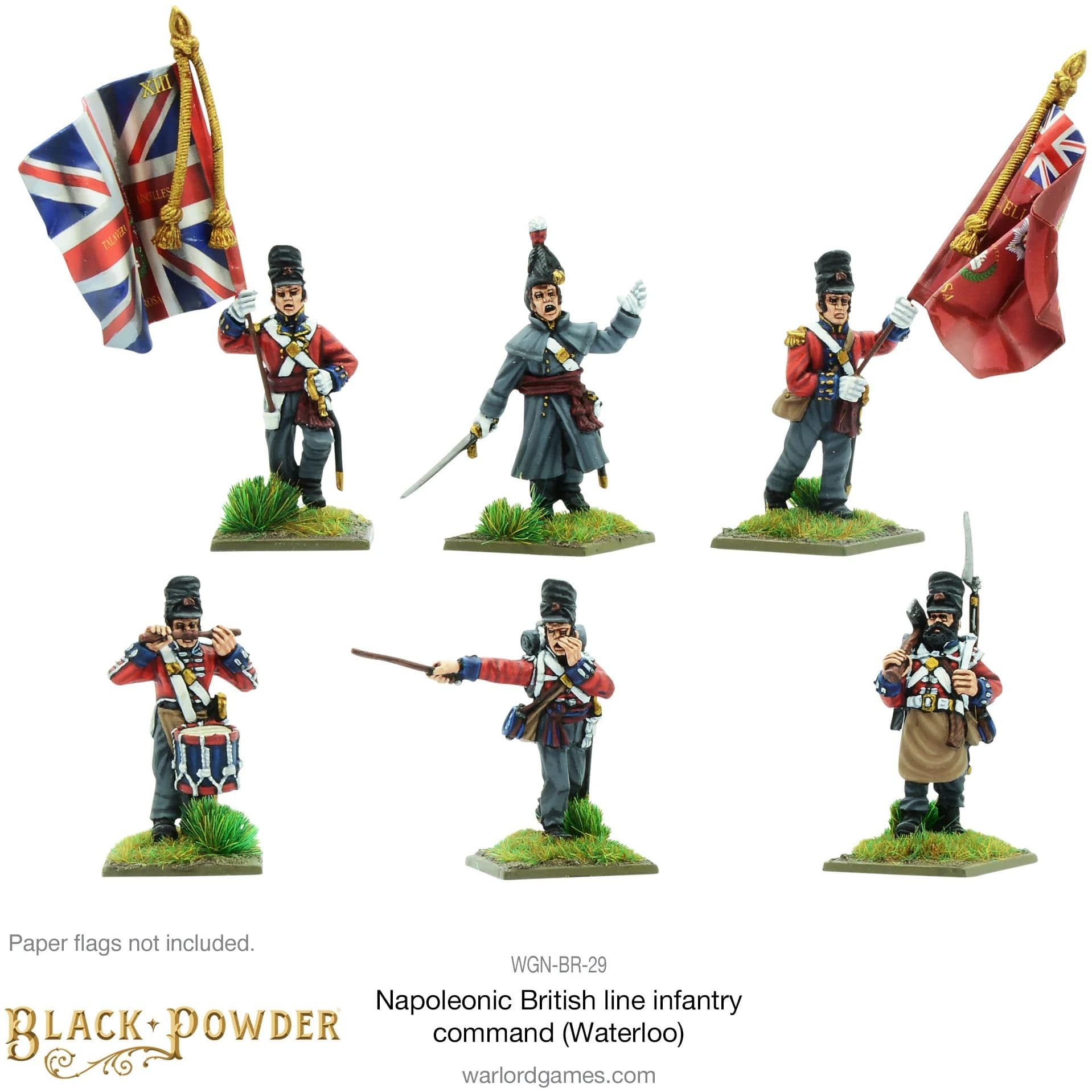 Napoleonic British Line Infantry command (Waterloo campaign) - Image 1