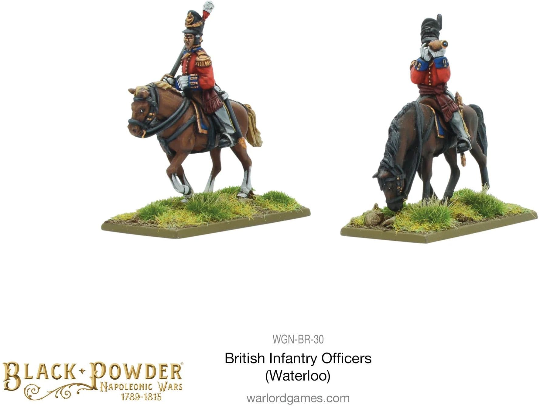 Mounted Napoleonic British Infantry Officers (Waterloo campaign) - Image 1