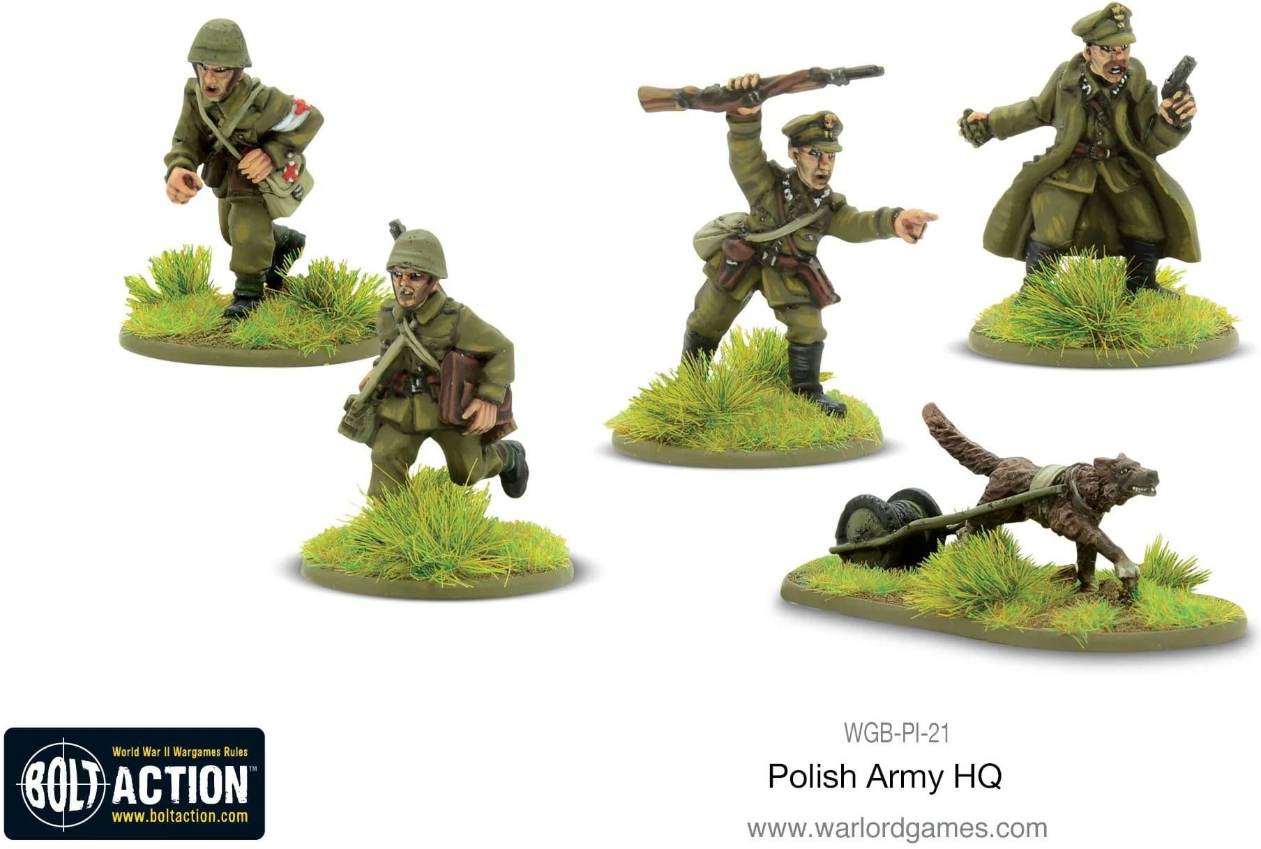 Polish HQ - Image 1