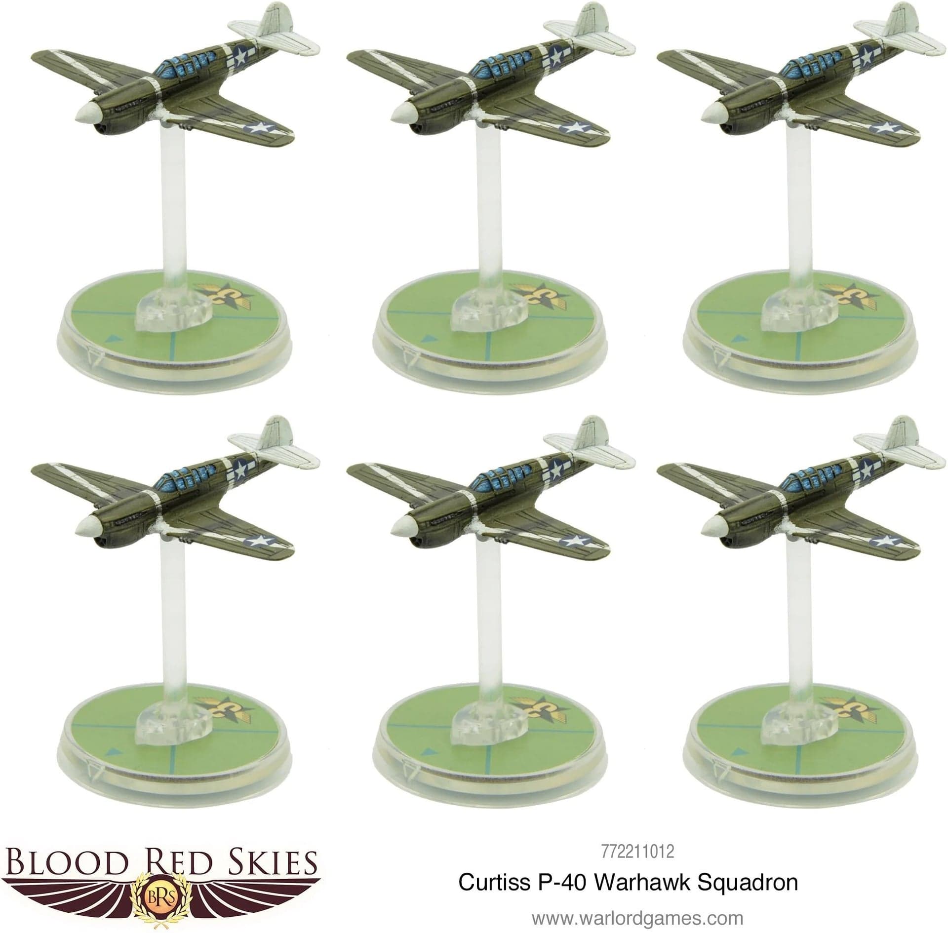 Curtiss P-40 Warhawk squadron - Image 1