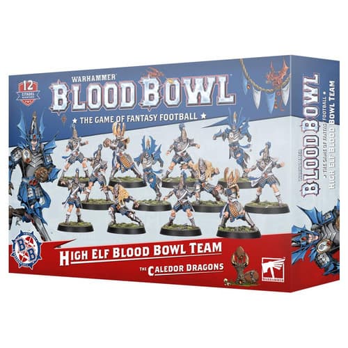 High Elf Blood Bowl Team - Image 1