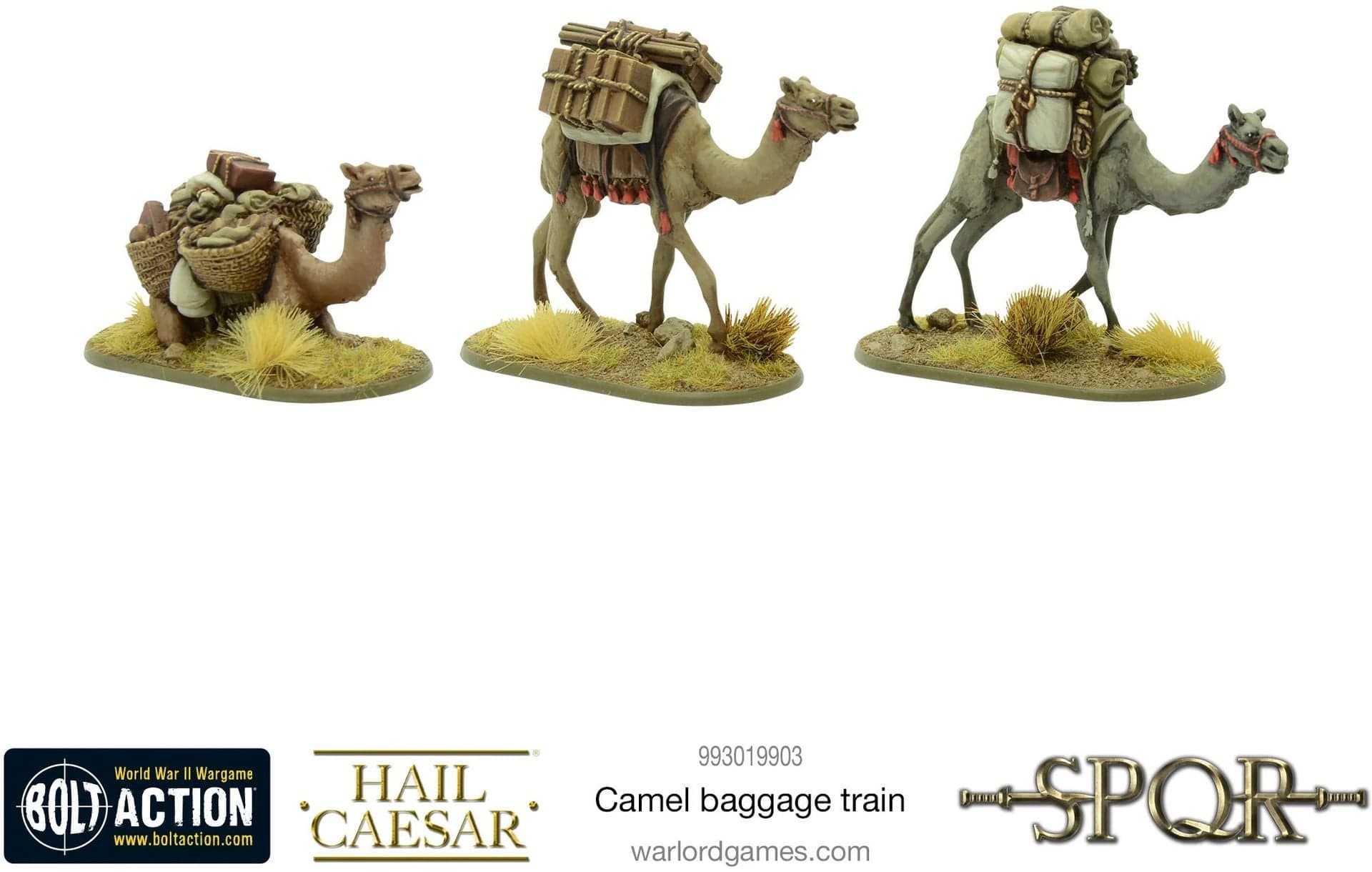 Camel baggage train - Image 1