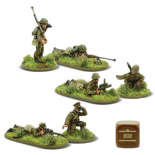 Polish Army Weapons Teams